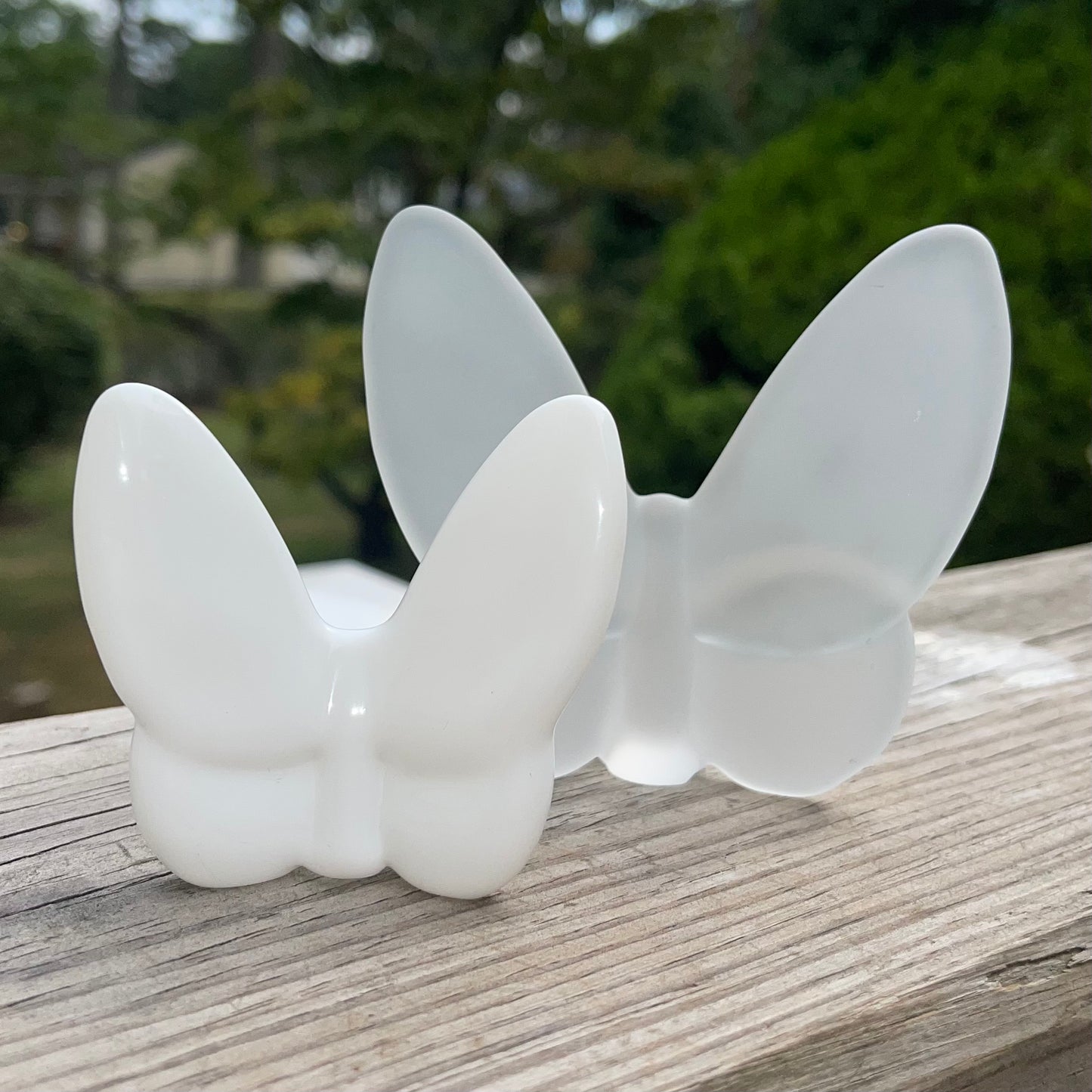 NEW Lainy Exclusive Mor Crystal Butterfly Home Decor in Frosted