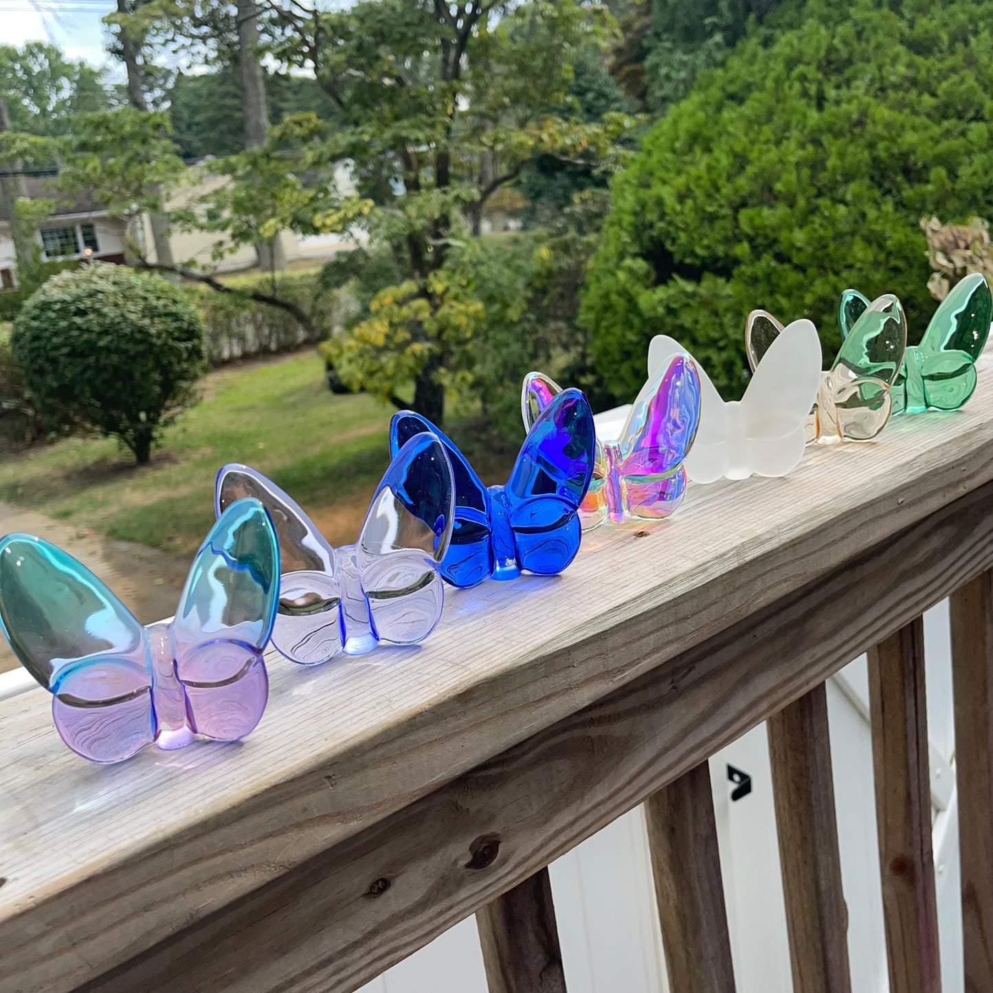 NEW Lainy Exclusive Mor Crystal Butterfly Home Decor in Ombré